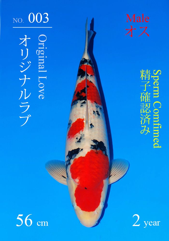 オリジナルラブ