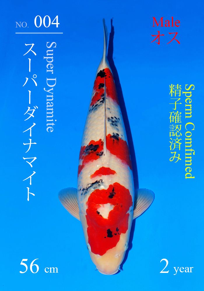 スーパーダイナマイト