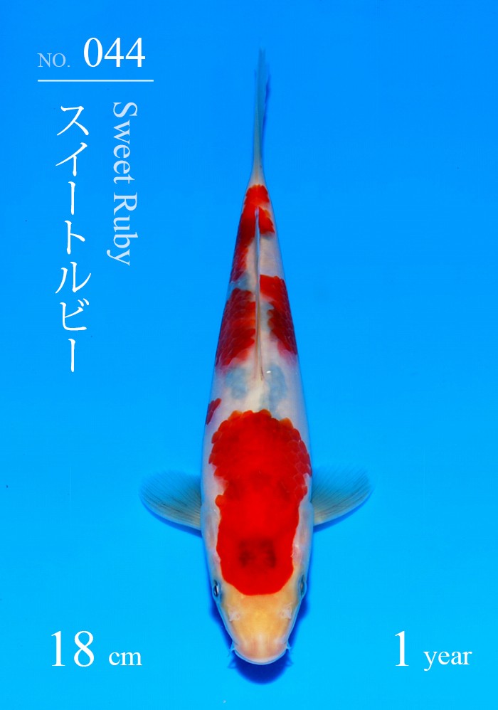 スイートルビー