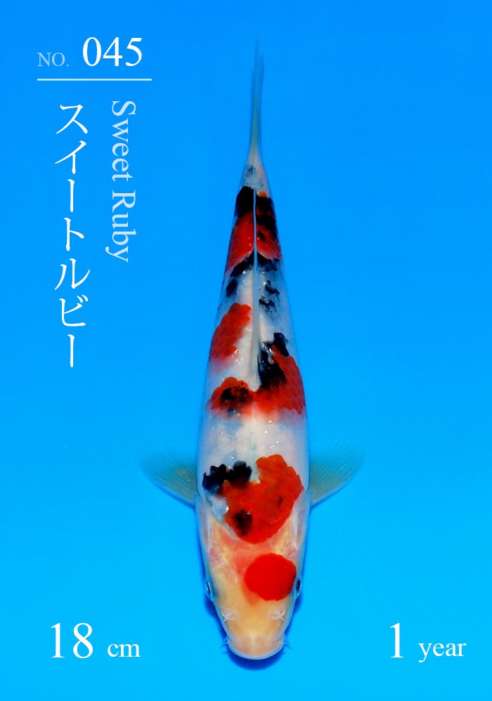 スイートルビー