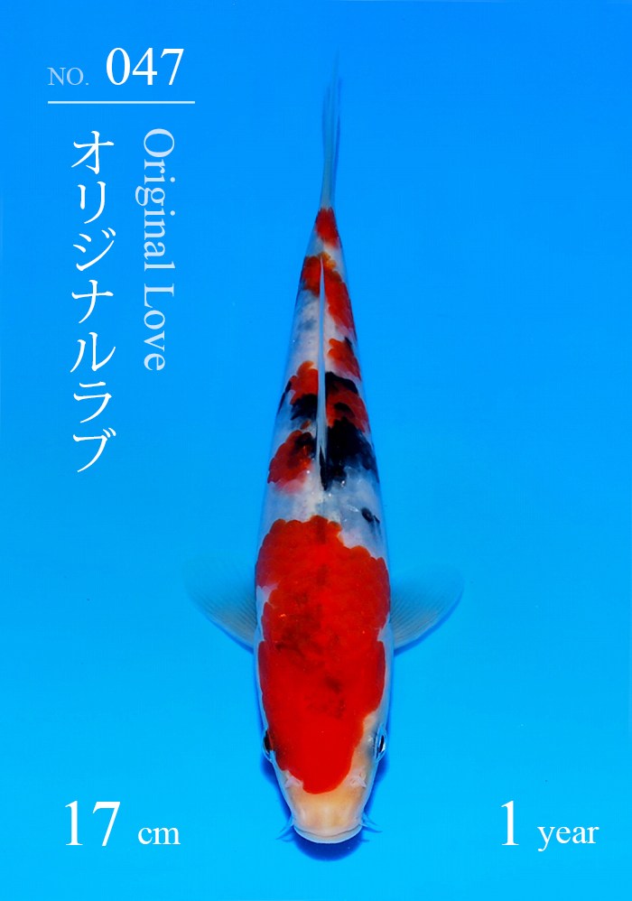 オリジナルラブ