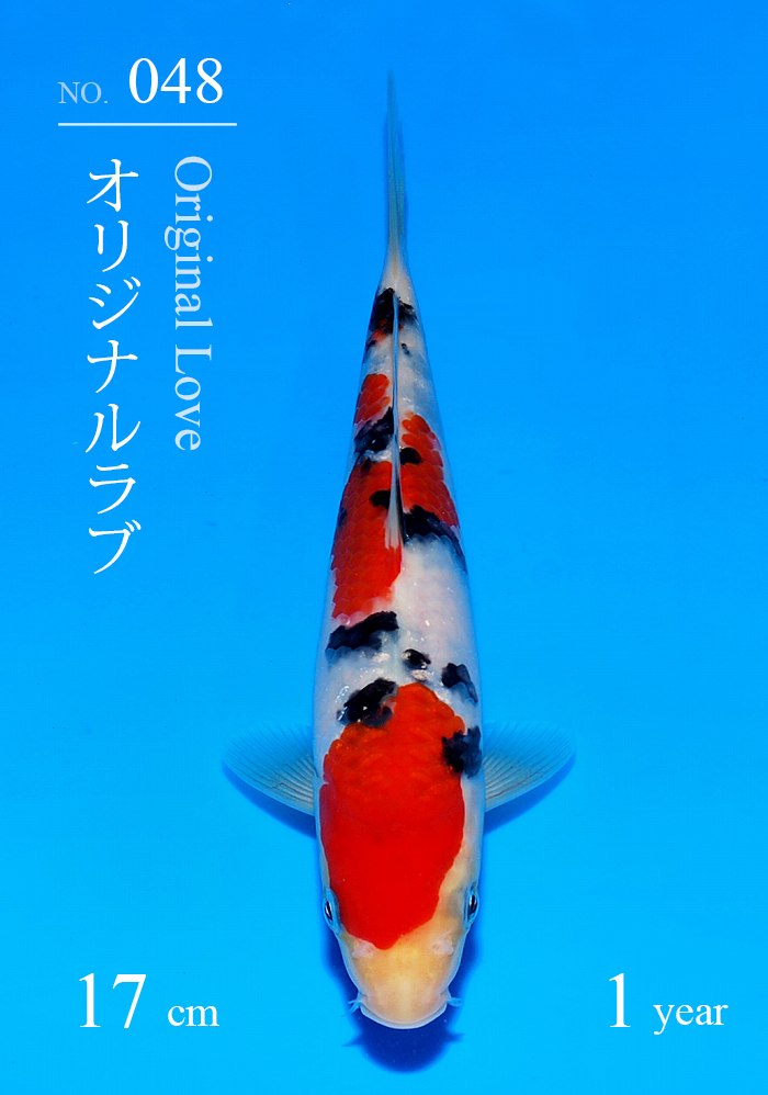 オリジナルラブ