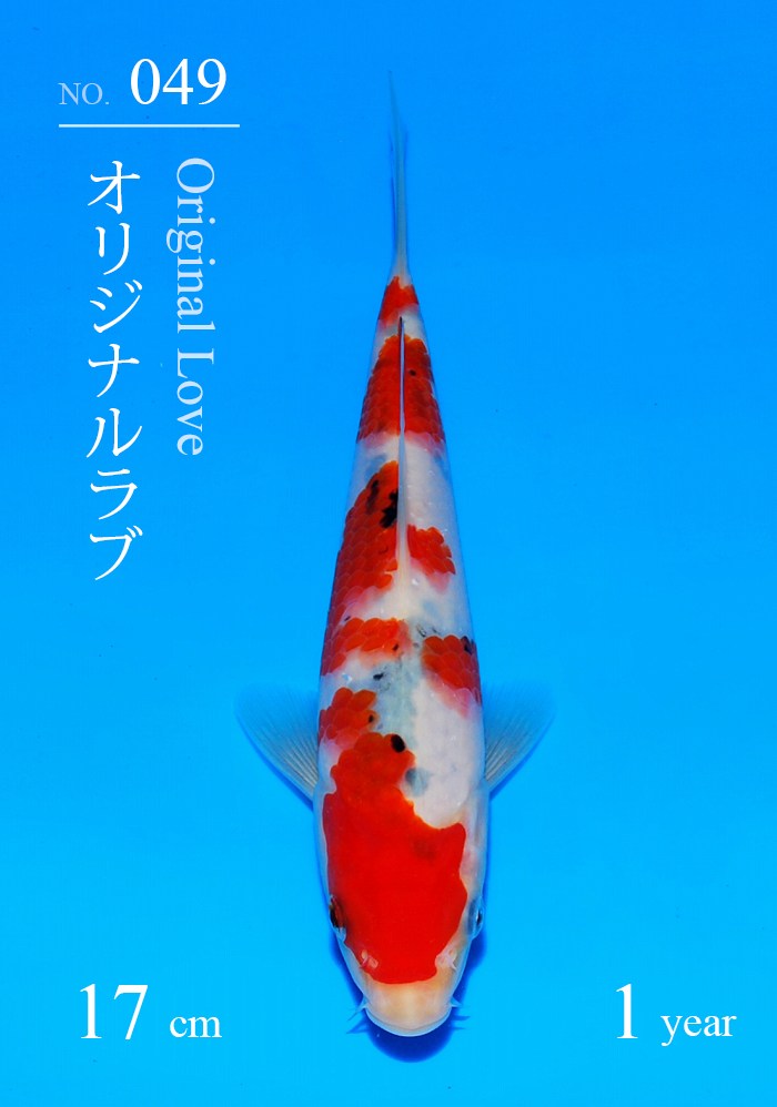 オリジナルラブ