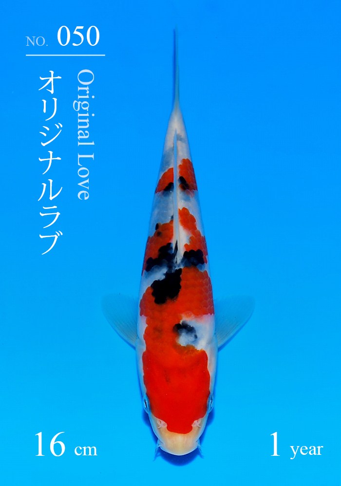 オリジナルラブ