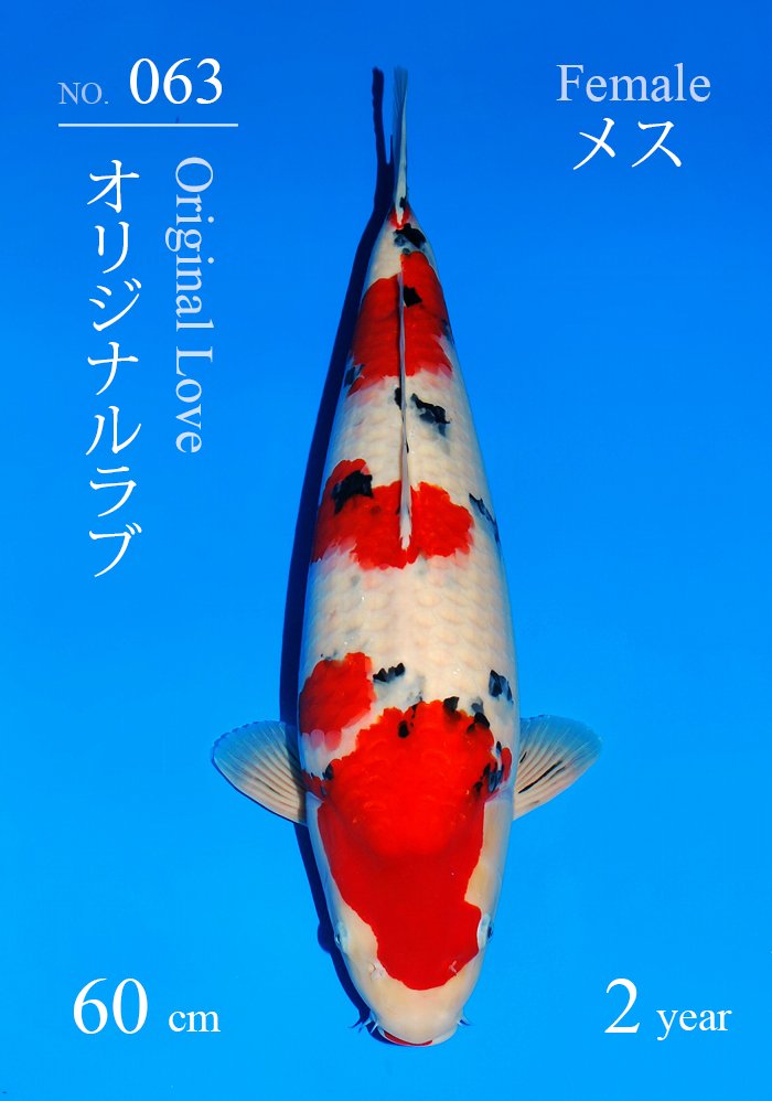 オリジナルラブ