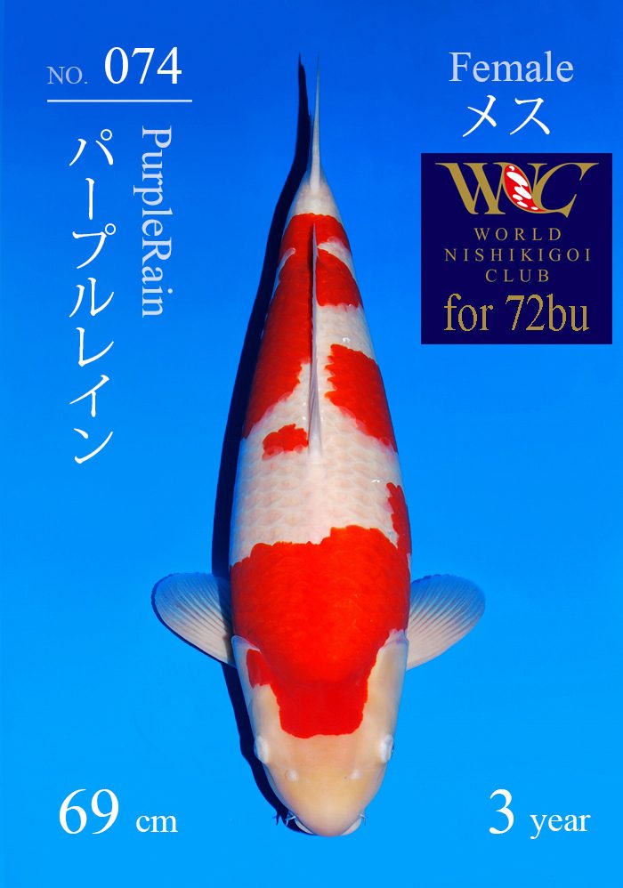 パープルレイン