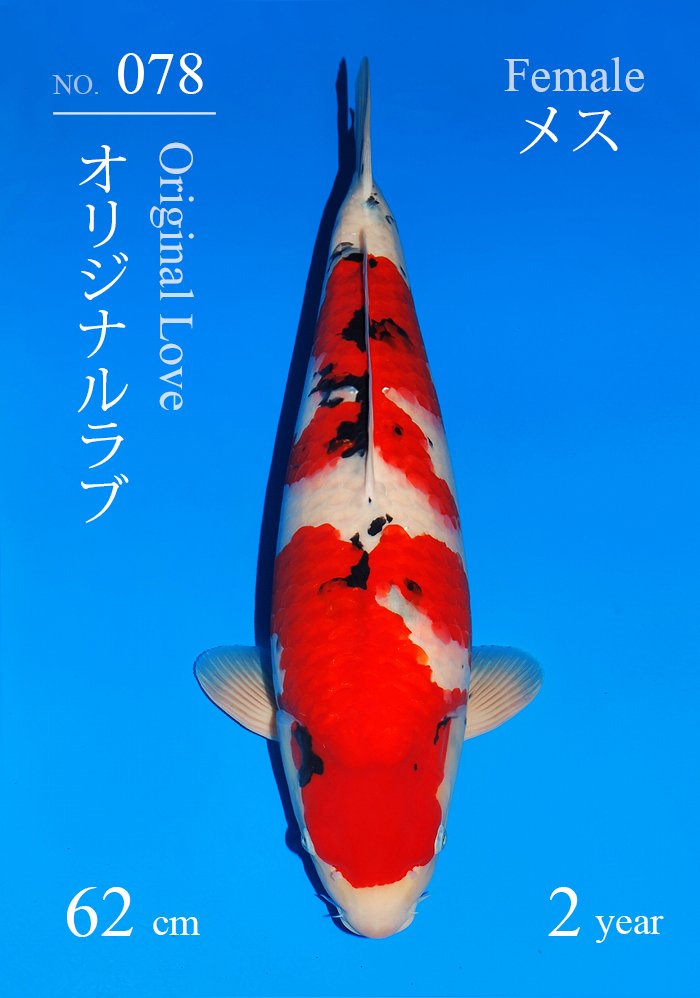 オリジナルラブ