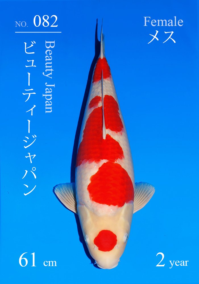 ビューティージャパン