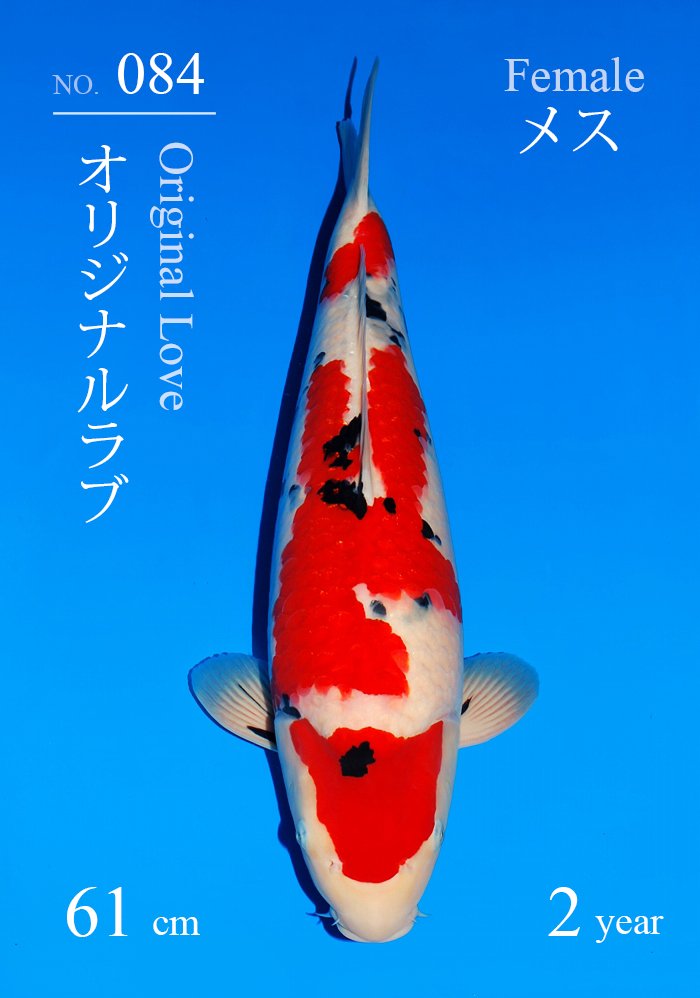 オリジナルラブ