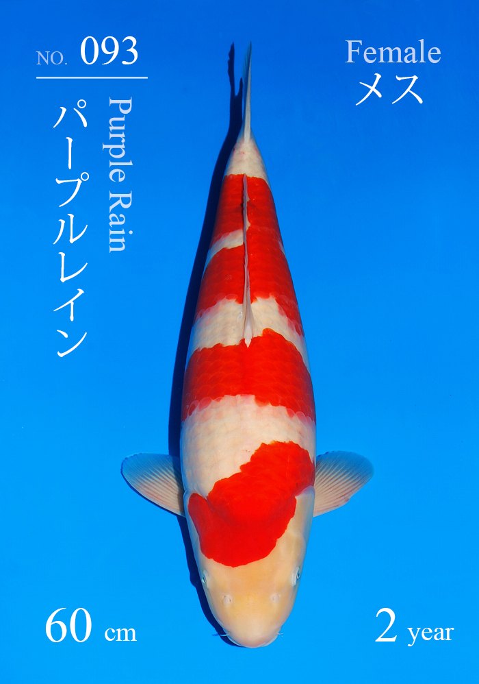 パープルレイン