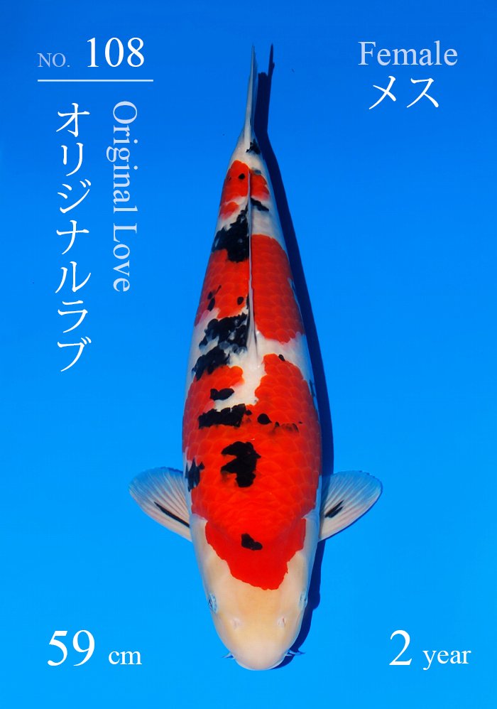 オリジナルラブ