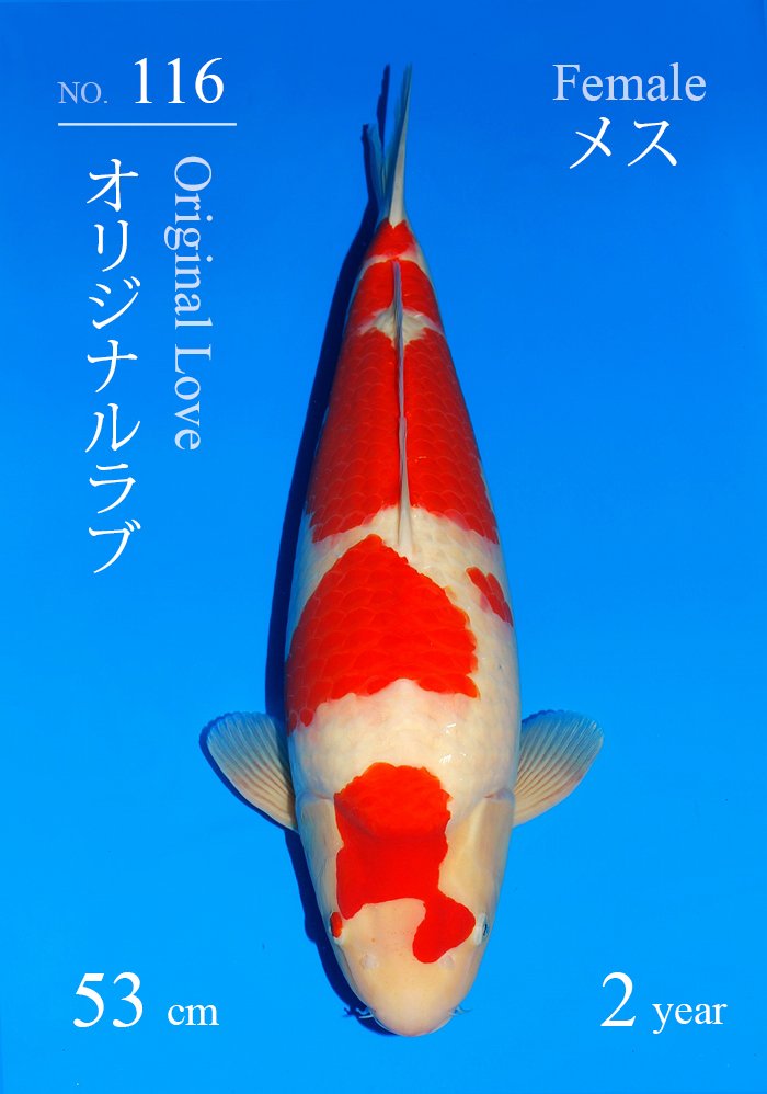 オリジナルラブ