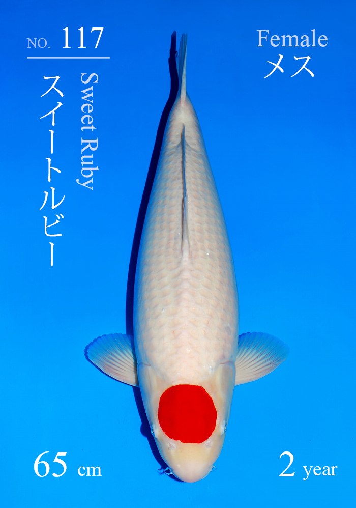 スイートルビー