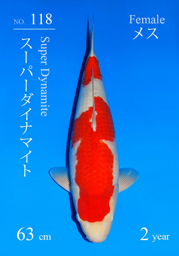 スーパーダイナマイト