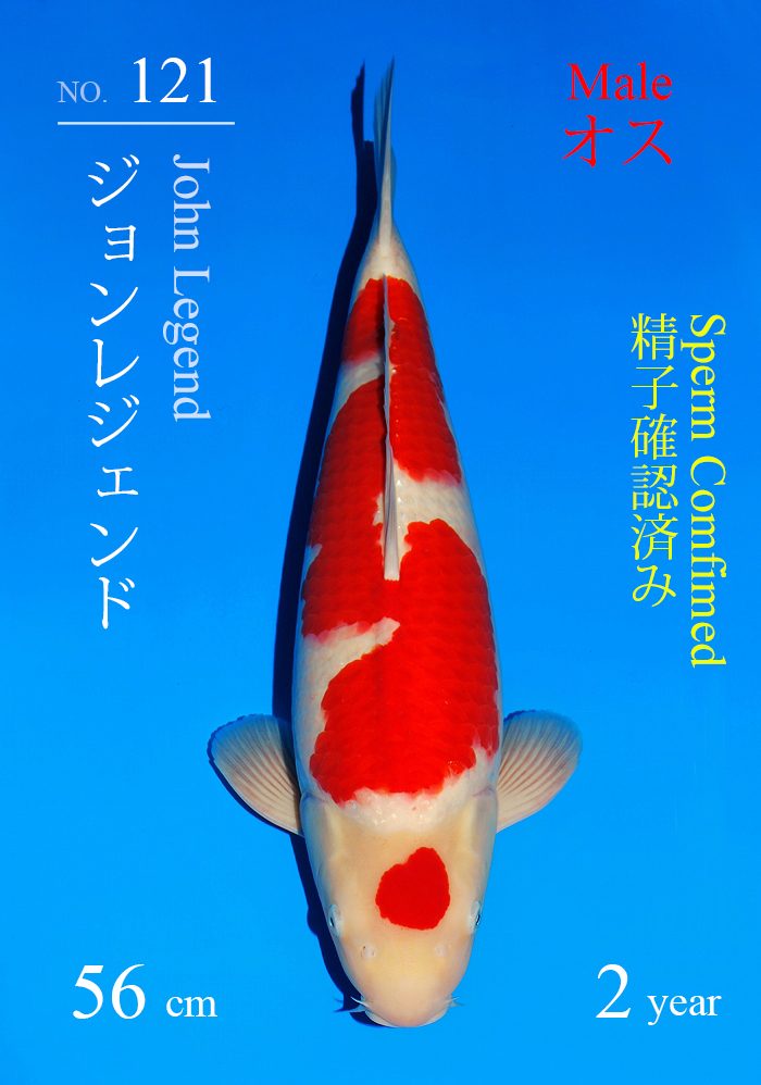 ジョンレジェンド