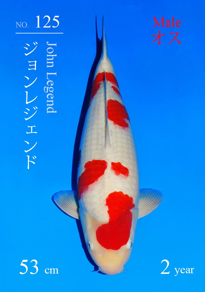 ジョンレジェンド