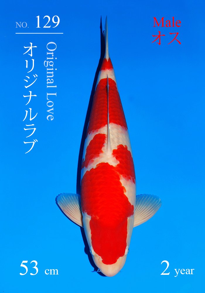 オリジナルラブ