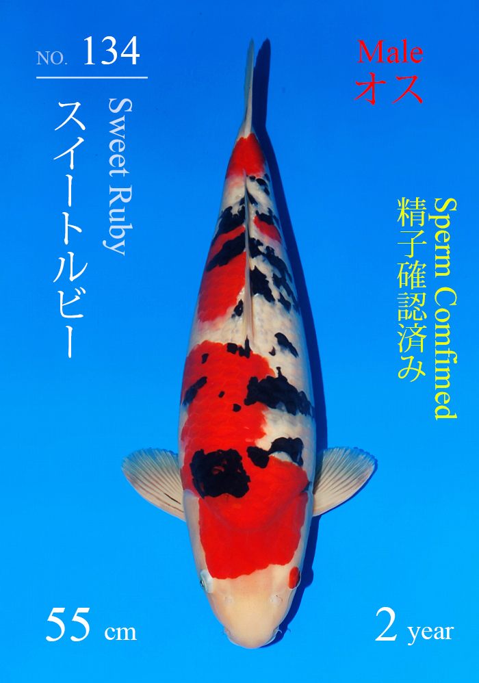 スイートルビー