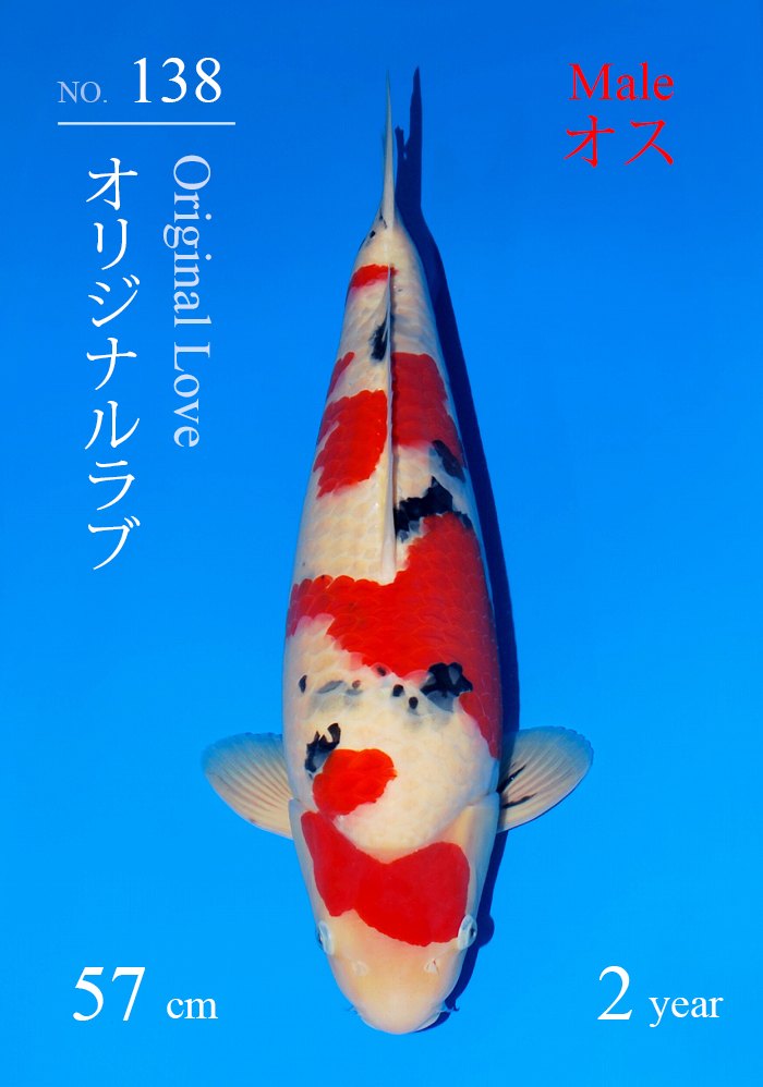 オリジナルラブ