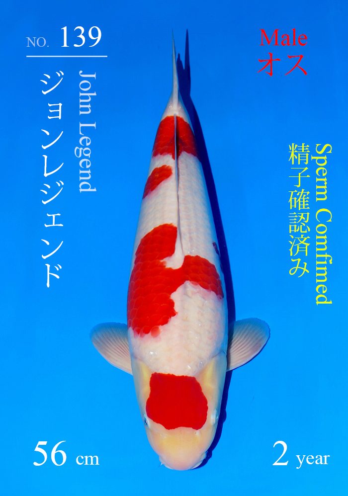 ジョンレジェンド