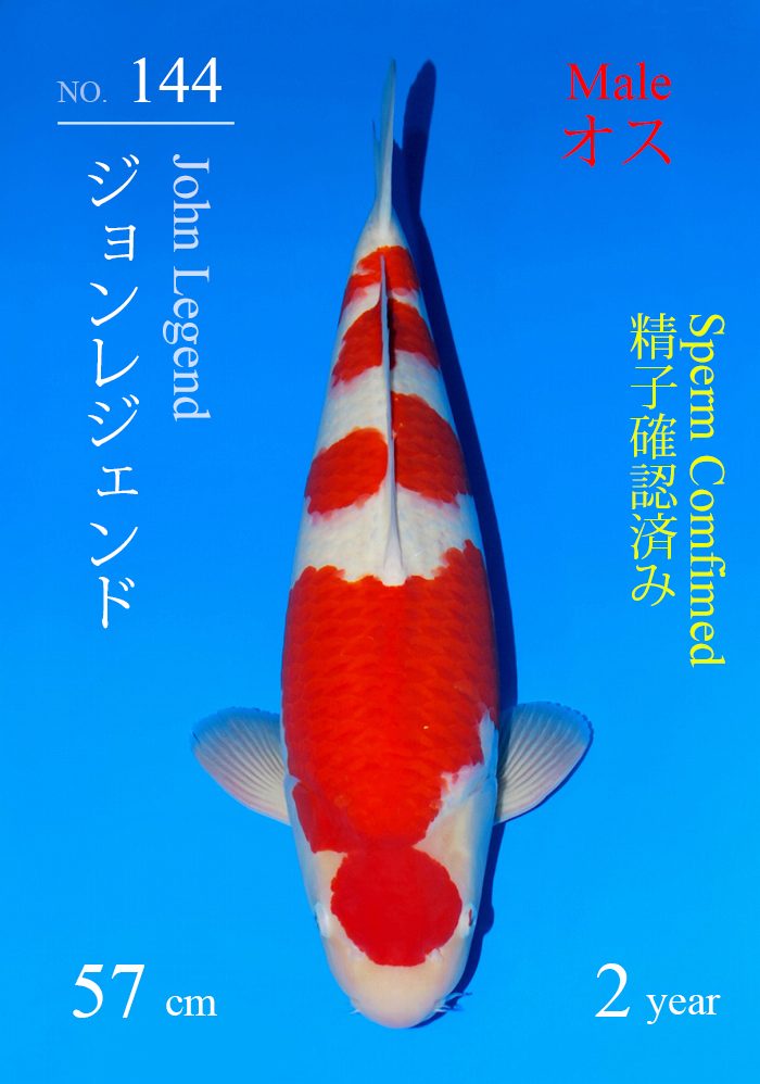 ジョンレジェンド