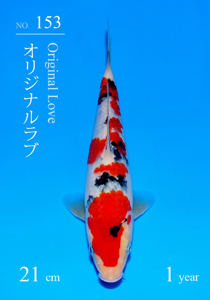 オリジナルラブ