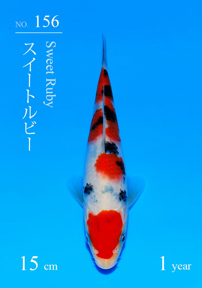 スイートルビー