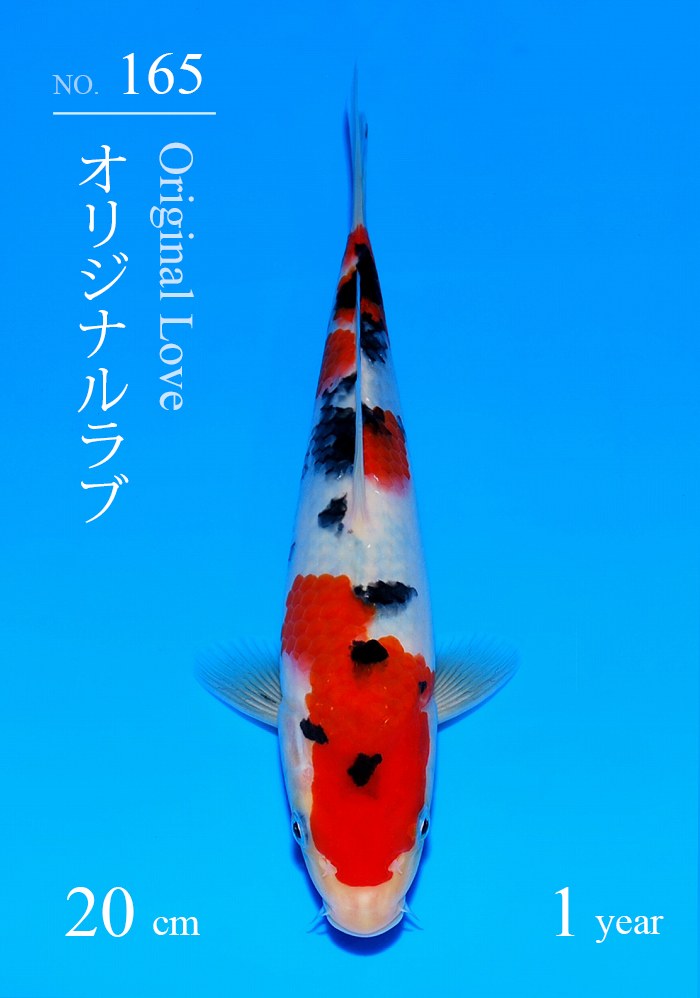 オリジナルラブ