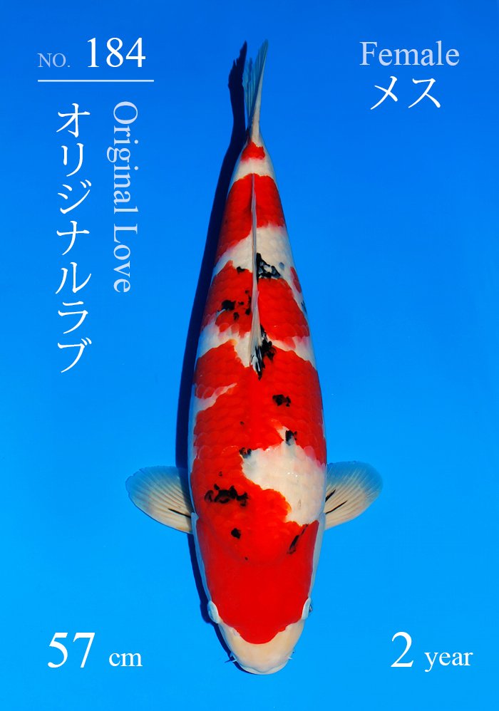 オリジナルラブ