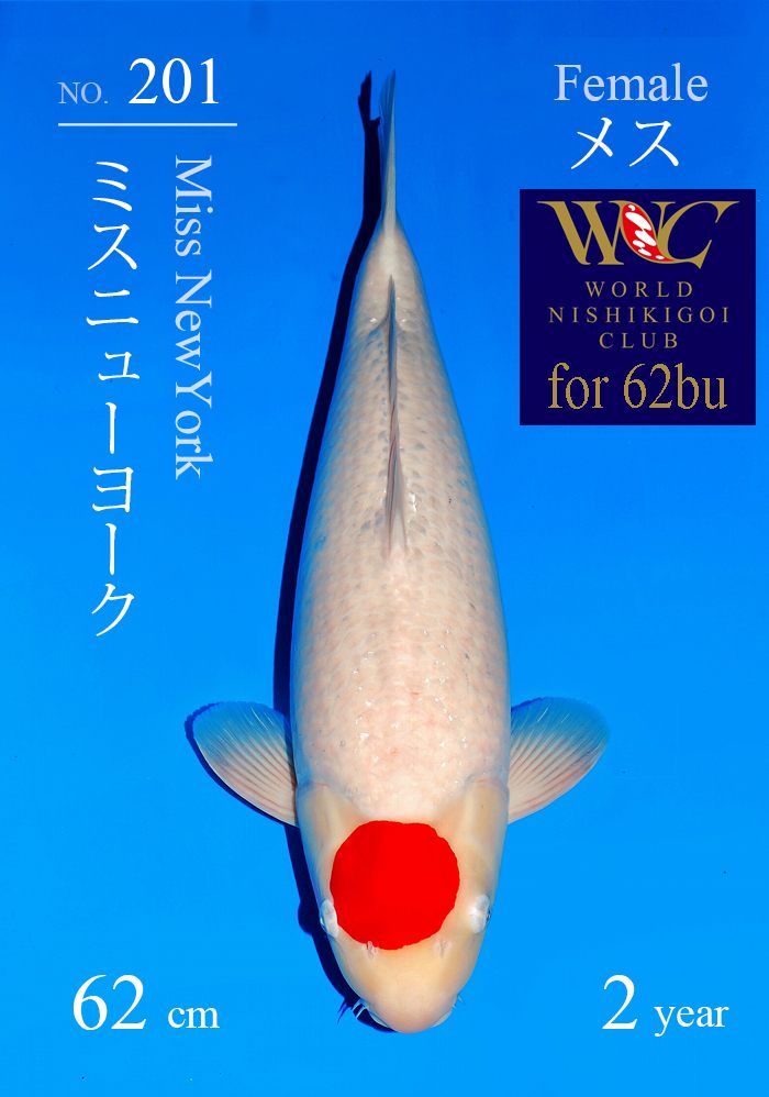 ミスニューヨーク