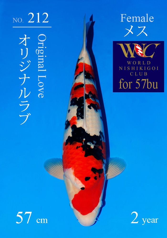 オリジナルラブ