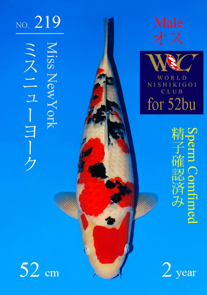 ミスニューヨーク