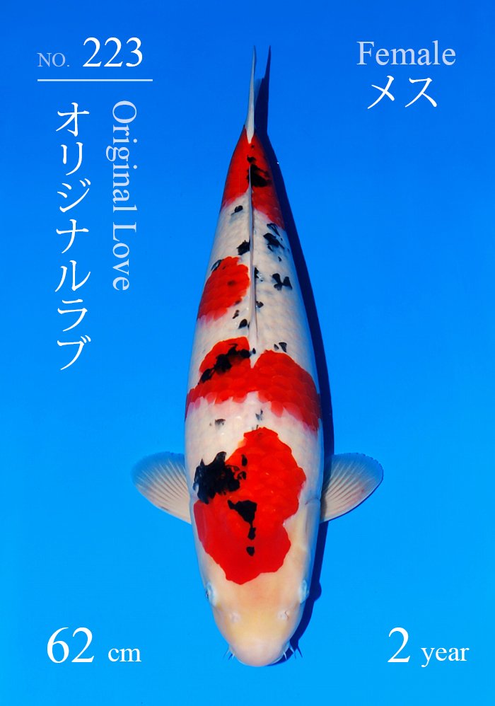 オリジナルラブ