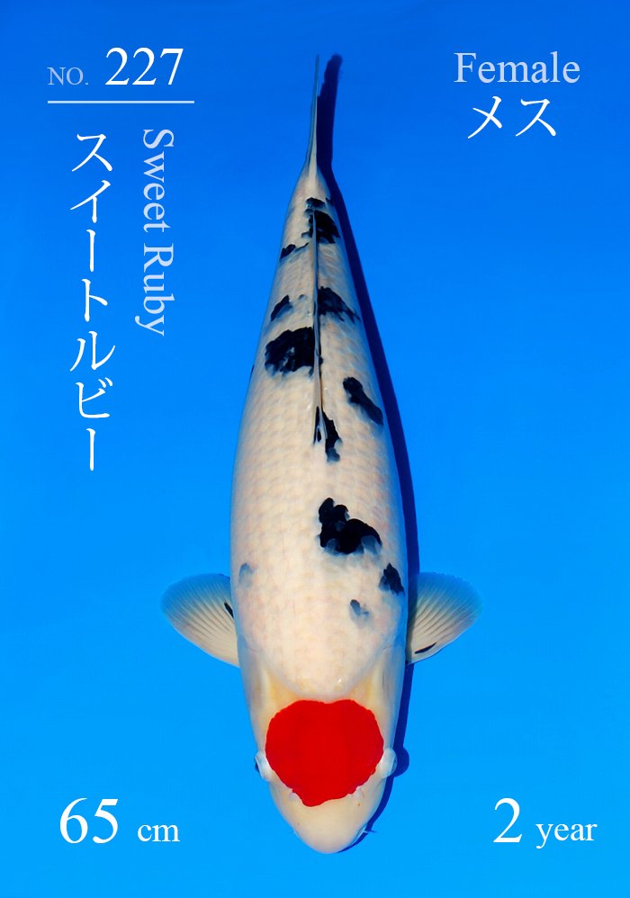 スイートルビー