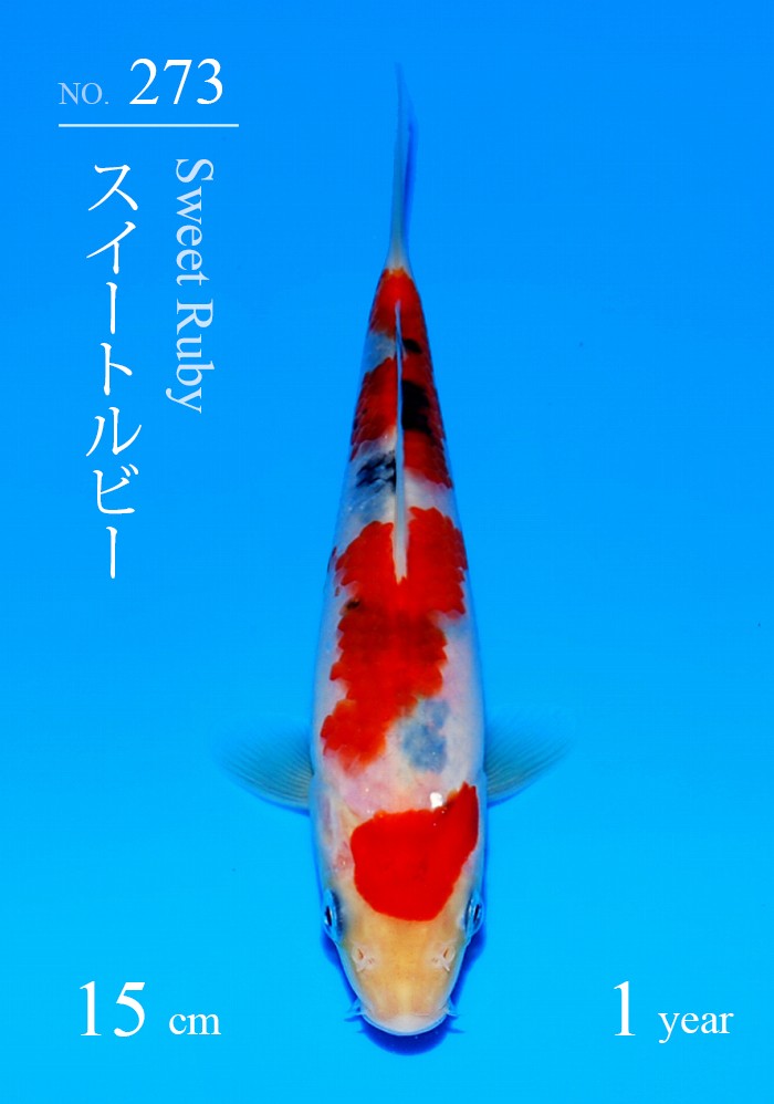 スイートルビー