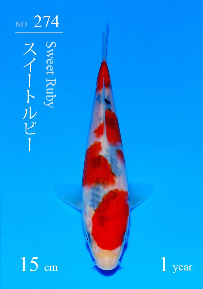 スイートルビー