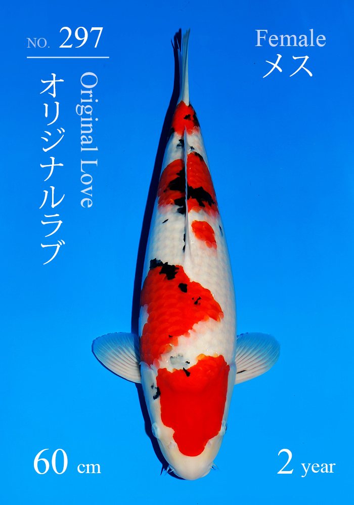 オリジナルラブ