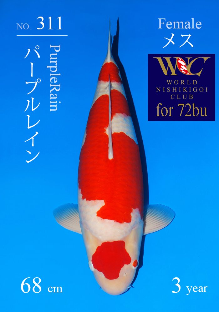 パープルレイン