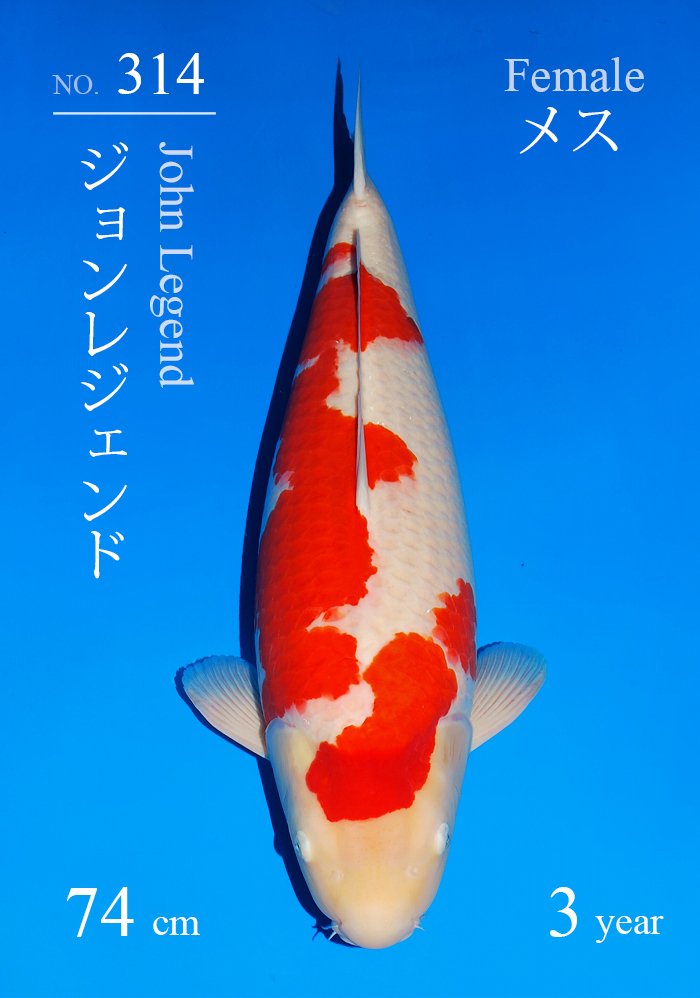 ジョンレジェンド