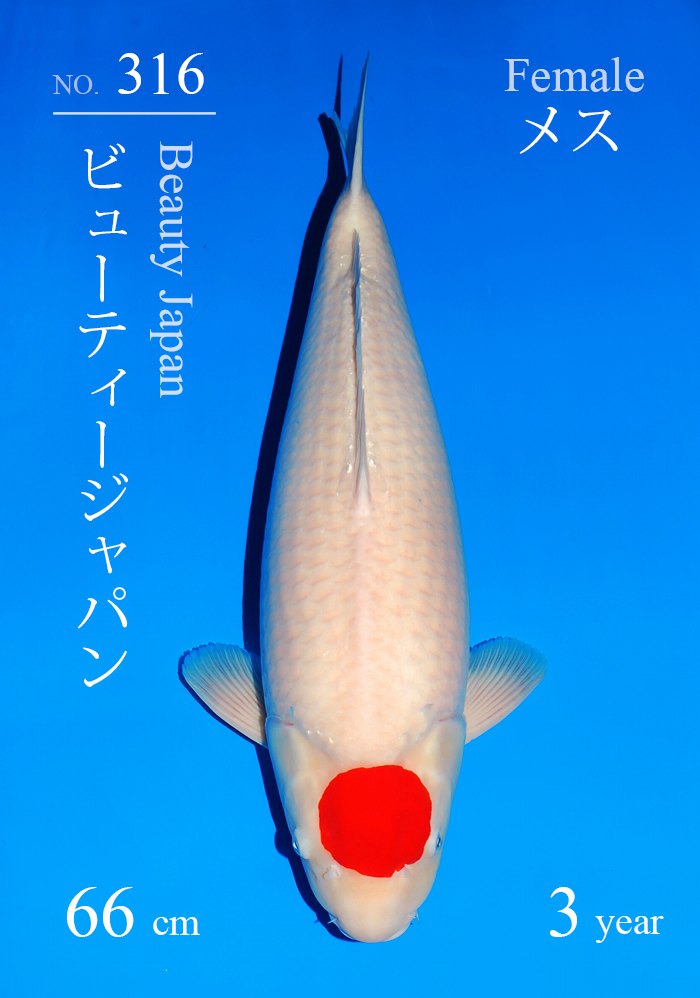 ビューティージャパン