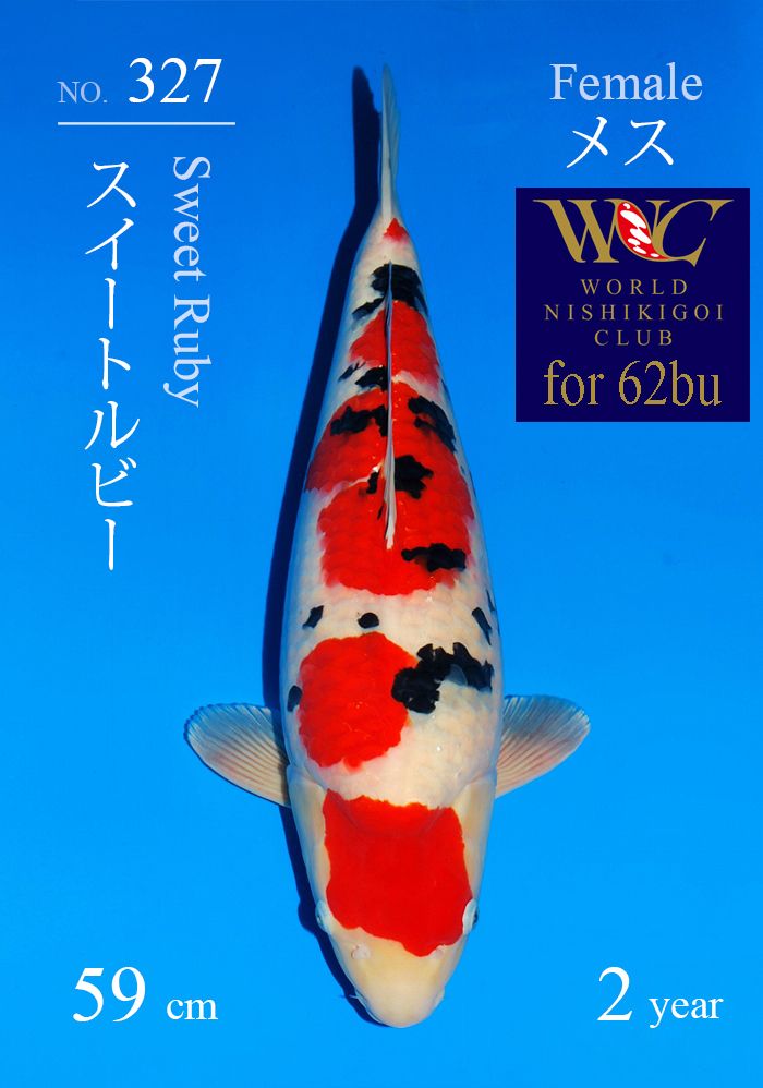 スイートルビー