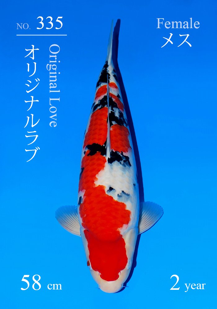 オリジナルラブ