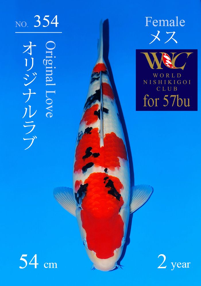 オリジナルラブ