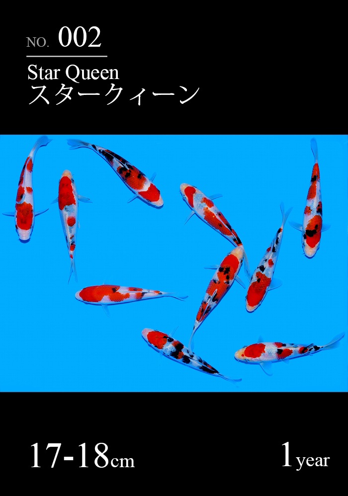 スタークィーン