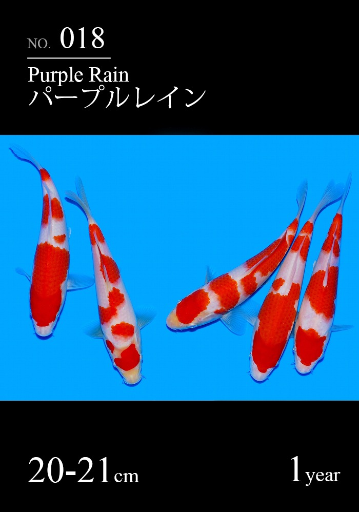 パープルレイン