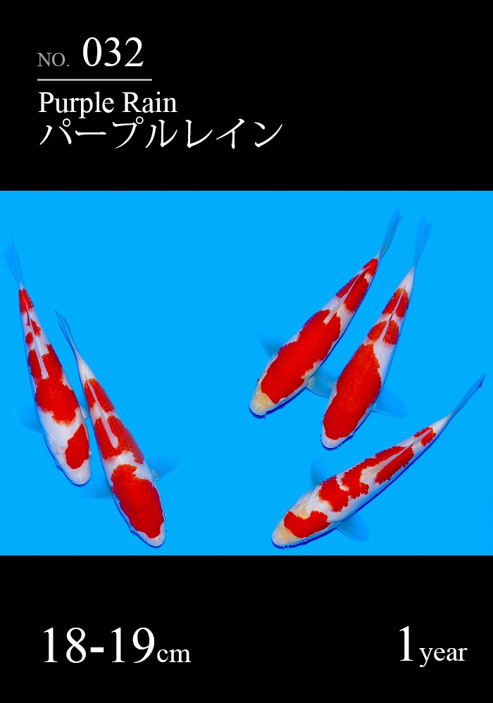 パープルレイン