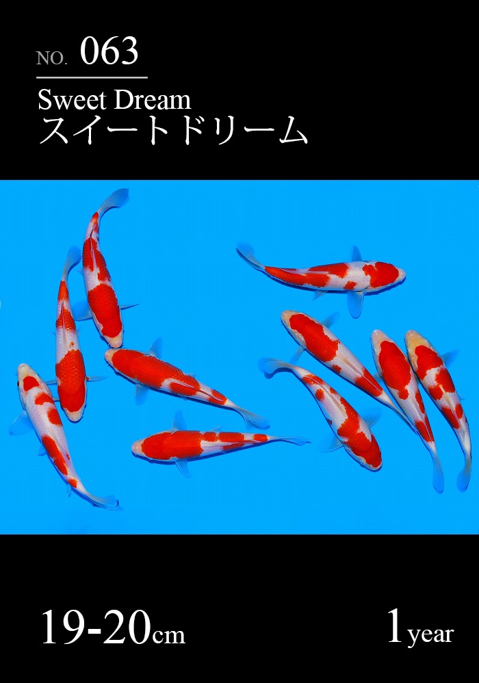 スイートドリーム