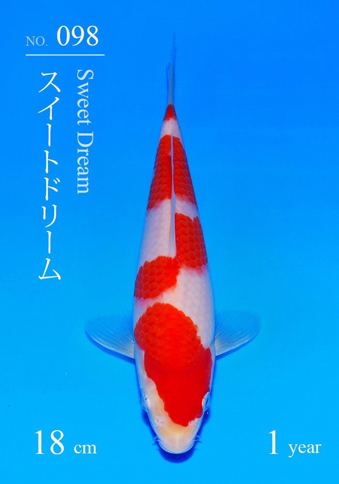 スイートドリーム