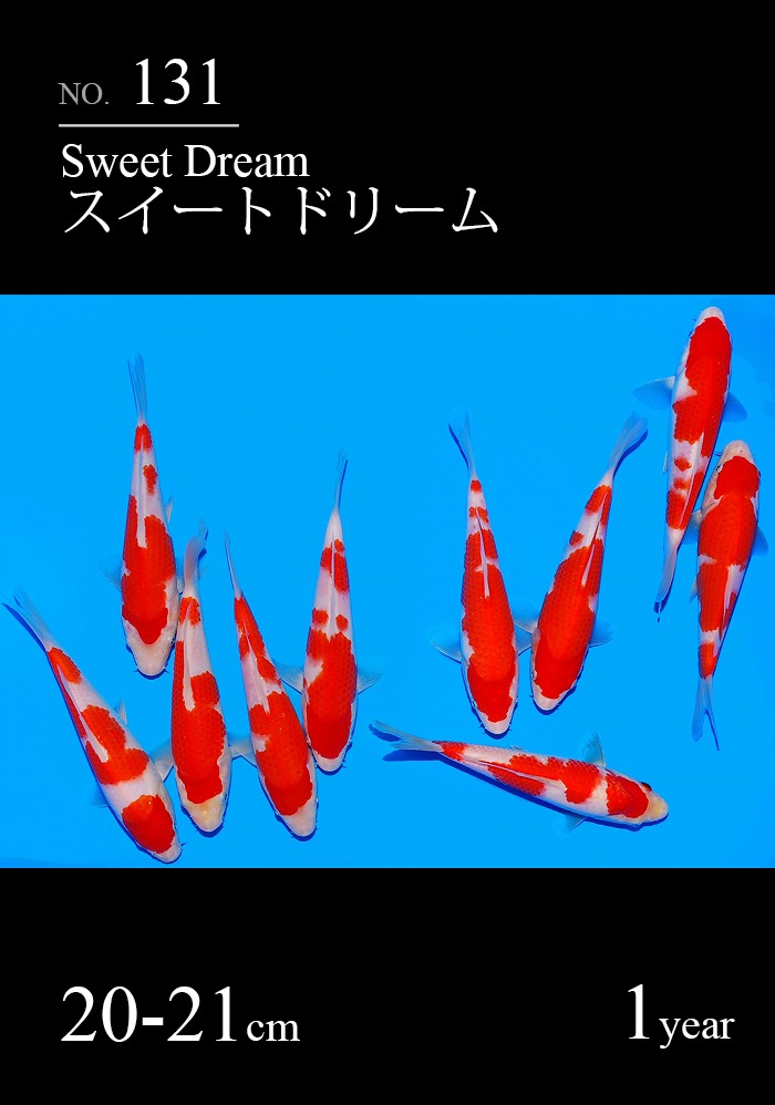 スイートドリーム