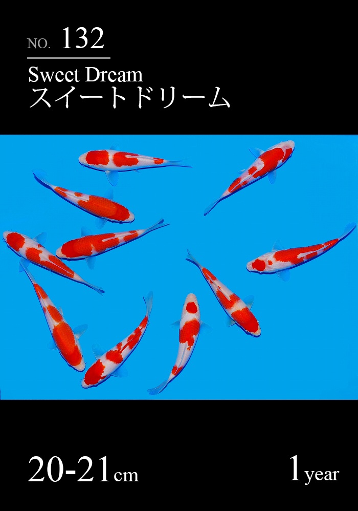 スイートドリーム